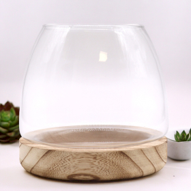 Terrarium Moyen sur Bois de Tung Naturel - 15x15cm