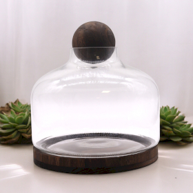 Grand Terrarium à Boule sur Bois de Tung Foncé - 23x23cm