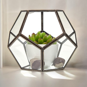 Terrarium en Verre  - Grand Octogone
