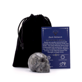 Pierre précieuse Lrg Crâne - Dark Network Stone- 50x40x30mm