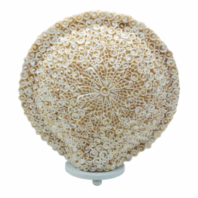 Lampe Boho Coquillage - Coquille Art Découpé Grand Rond - 30 cm