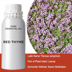 Huile Essentielle de Thym Rouge 0,5kg