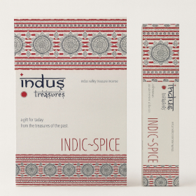 12x Encens Trésors de l’Indus - Épices d’Inde