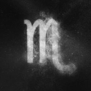 Fournisseur produits zodiaque escorpio