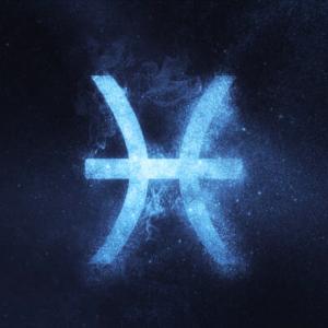 Fournisseur produits zodiaque poisson