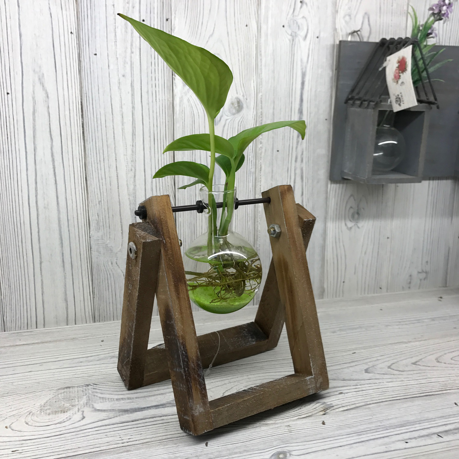 Pots de Cultures Hydroponiques - 