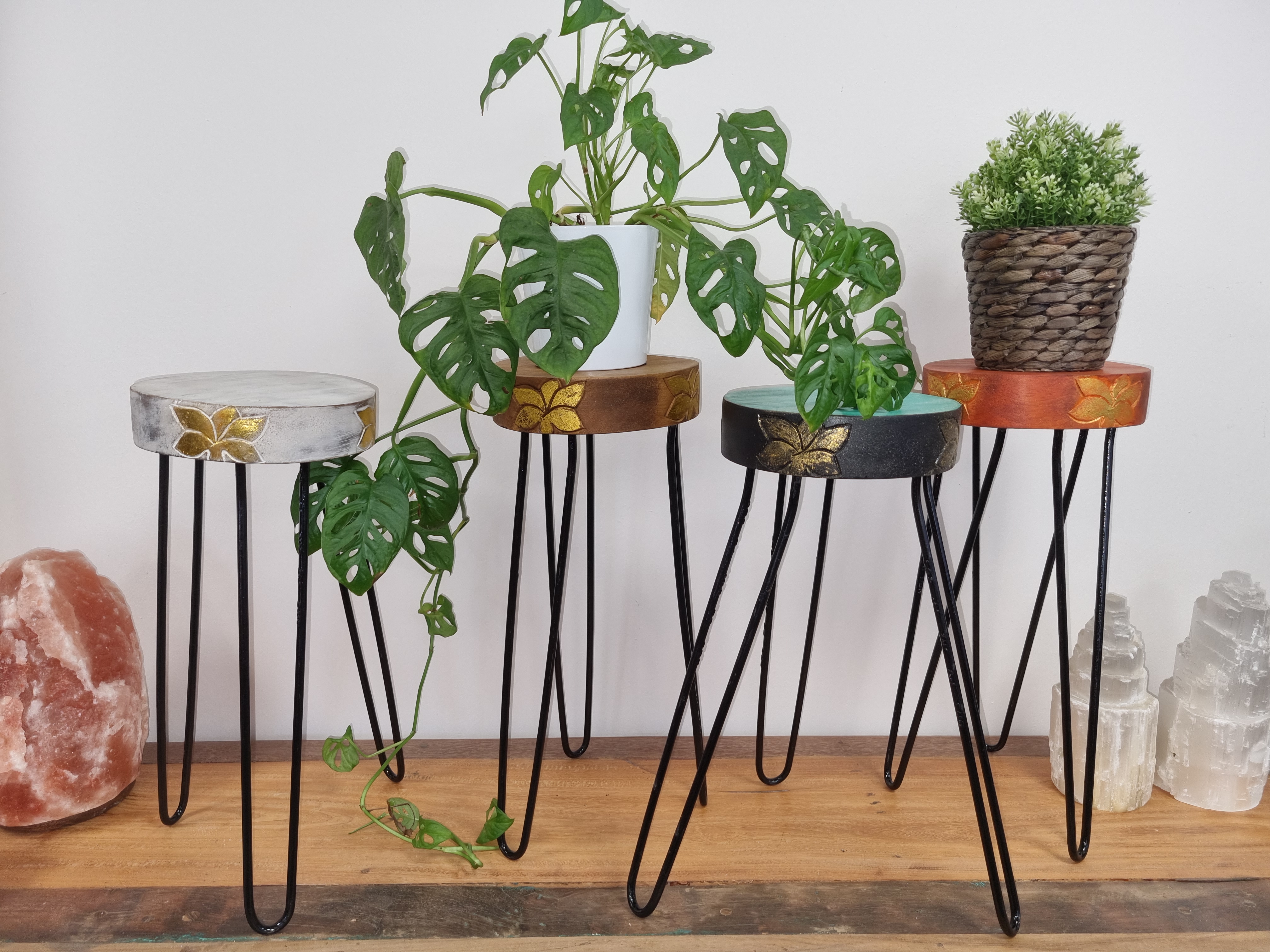 Support pour Plante en Bois d'Albasia