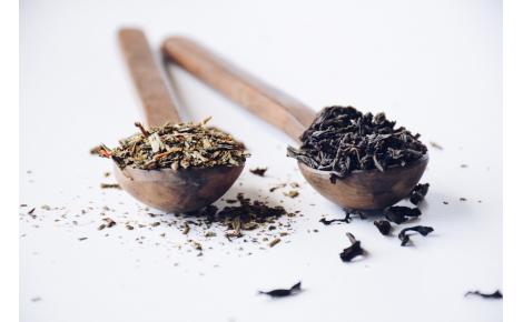 Le meilleur du thé artisanal de vente en gros