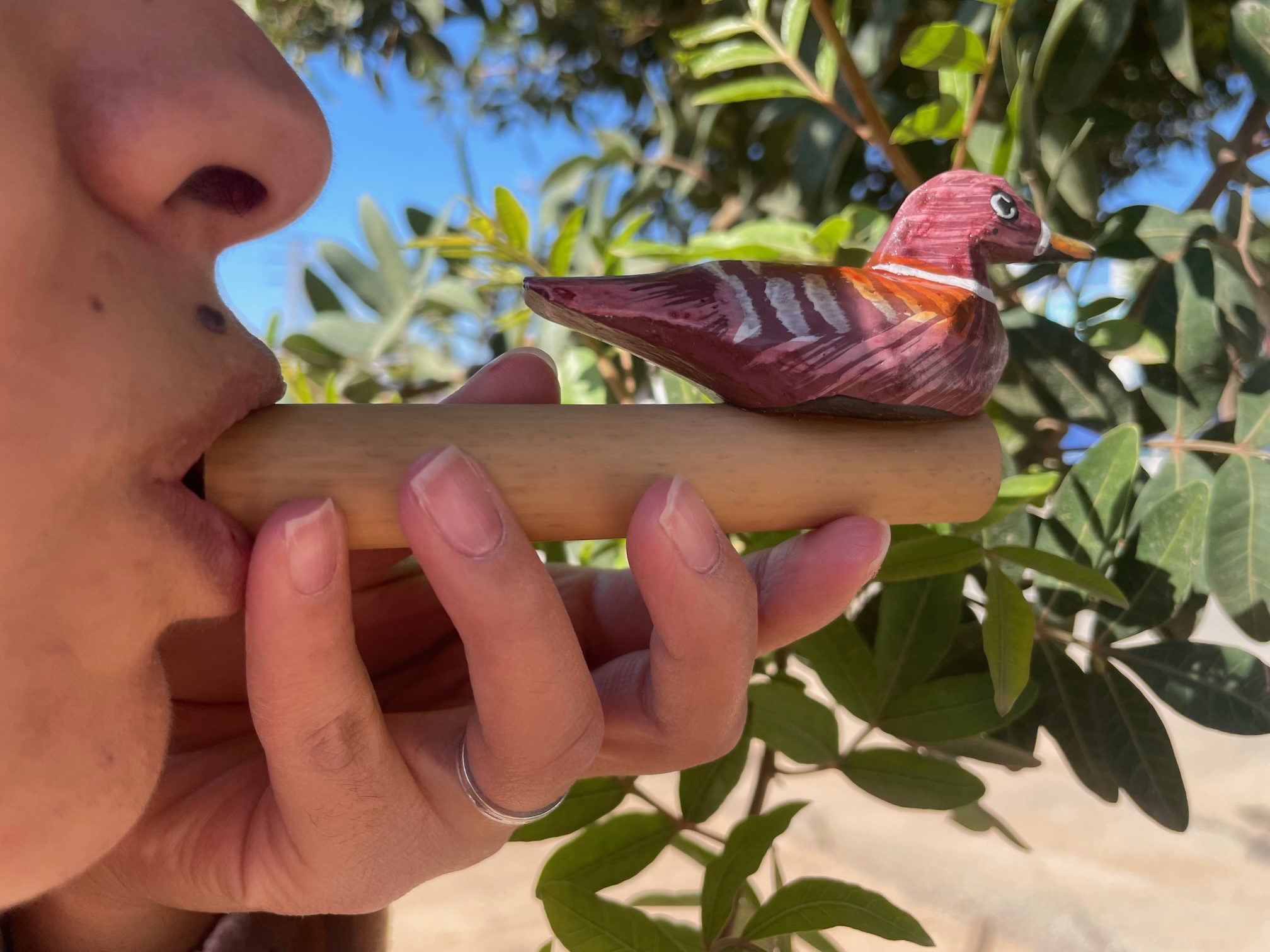 Sifflets en bois en forme d'animaux