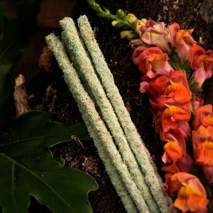 Encens botanique par AW Artisan