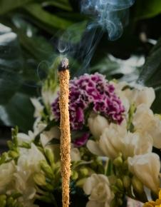 Encens botanique