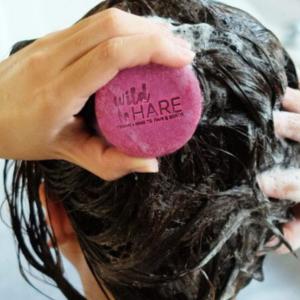 Shampoing solide Wild Hare