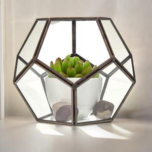 Vendeur BtoB de terrarium