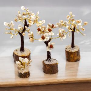 Ventes aux entreprises arbres pierres