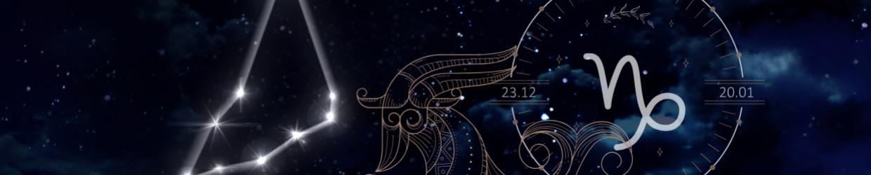 Grossiste produits zodiaque capricorne