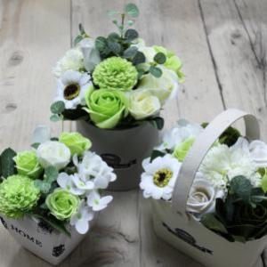 Fournisseur fleurs de savon pour le bain