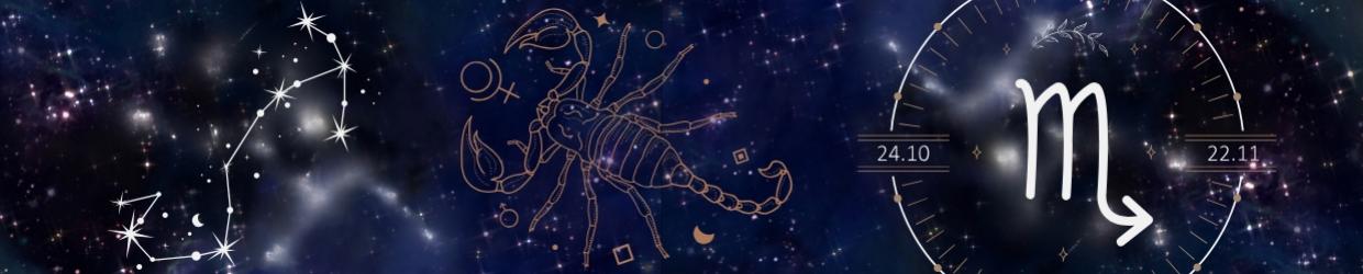 Fournisseur produits Scorpion 