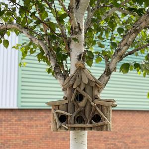 Fournissuer refuges pour oiseaux et insectes en bois d'AW Artisan France