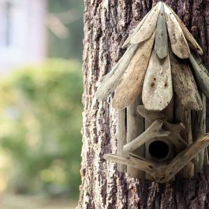 refuges pour oiseaux et insectes en bois d'AW Artisan France