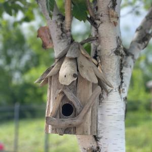 refuges pour oiseaux et insectes en bois d'AW Artisan France grossiste