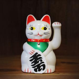 Vente en gros Chat Chinois