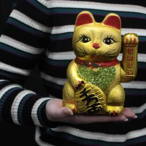 Fournisseur Chat Chinois