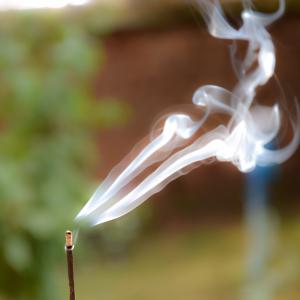 Grossiste d'Encens Golden Copal