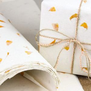 Grossiste Papier Artisanal Lokta du Népal