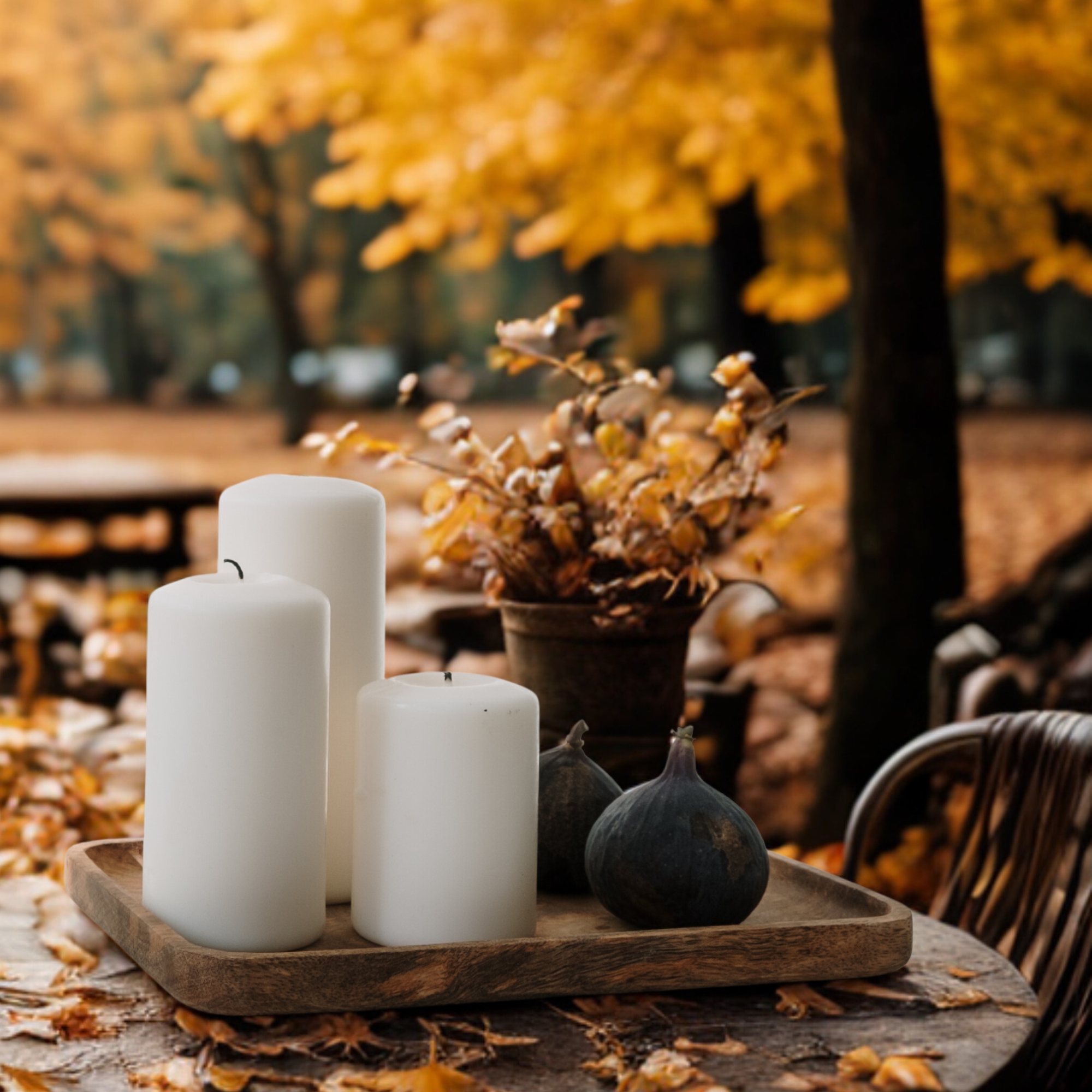 Fournisseur Produits Automne