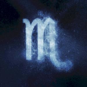 Fournisseur produits zodiaque escorpio